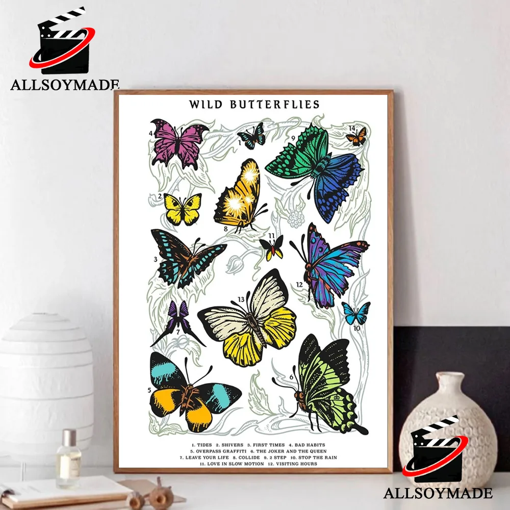 Ed Sheeran Wild Butterflies Aus Mathematics Tour 2023 Poster, Ed Sheeran Poster